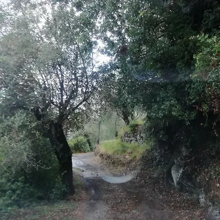 Il Giardino Degli Ulivi Bed & Breakfast Dolceacqua