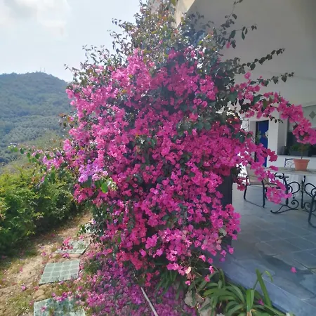 Il Giardino Degli Ulivi 3*