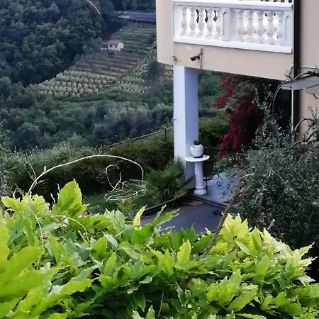 Il Giardino Degli Ulivi