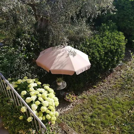 Il Giardino Degli Ulivi Bed & Breakfast 3*